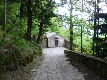 die Kapelle der Vögel