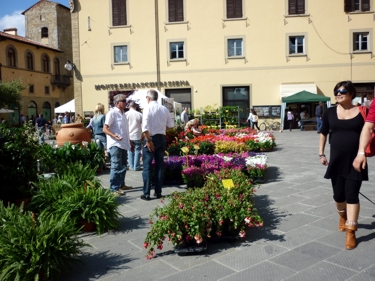 zdjęcie Rynek w Sansepolcro