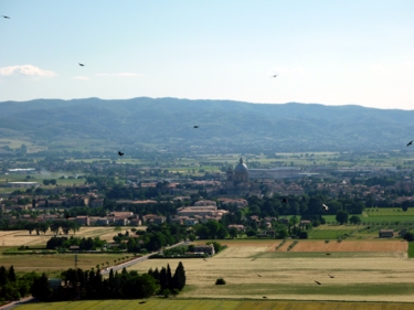 zdjęcie panorama